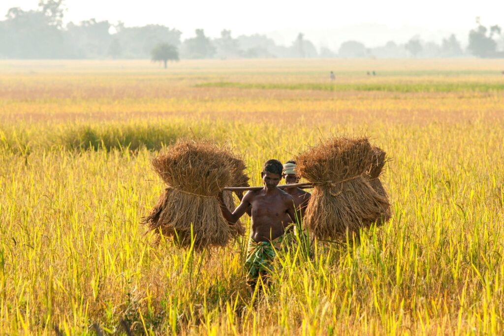 Uttar Pradesh Leads the Nation in MGNREGA Implementation and Rural ...